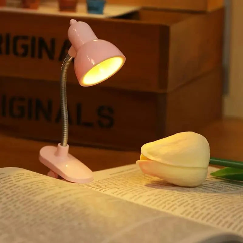 Desk Lamp for Students | Dormitory & Reading Night